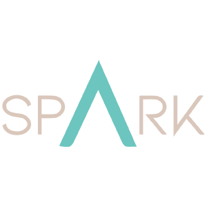 A spark clear aligners orthodontic treatment